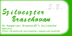 szilveszter braschovan business card